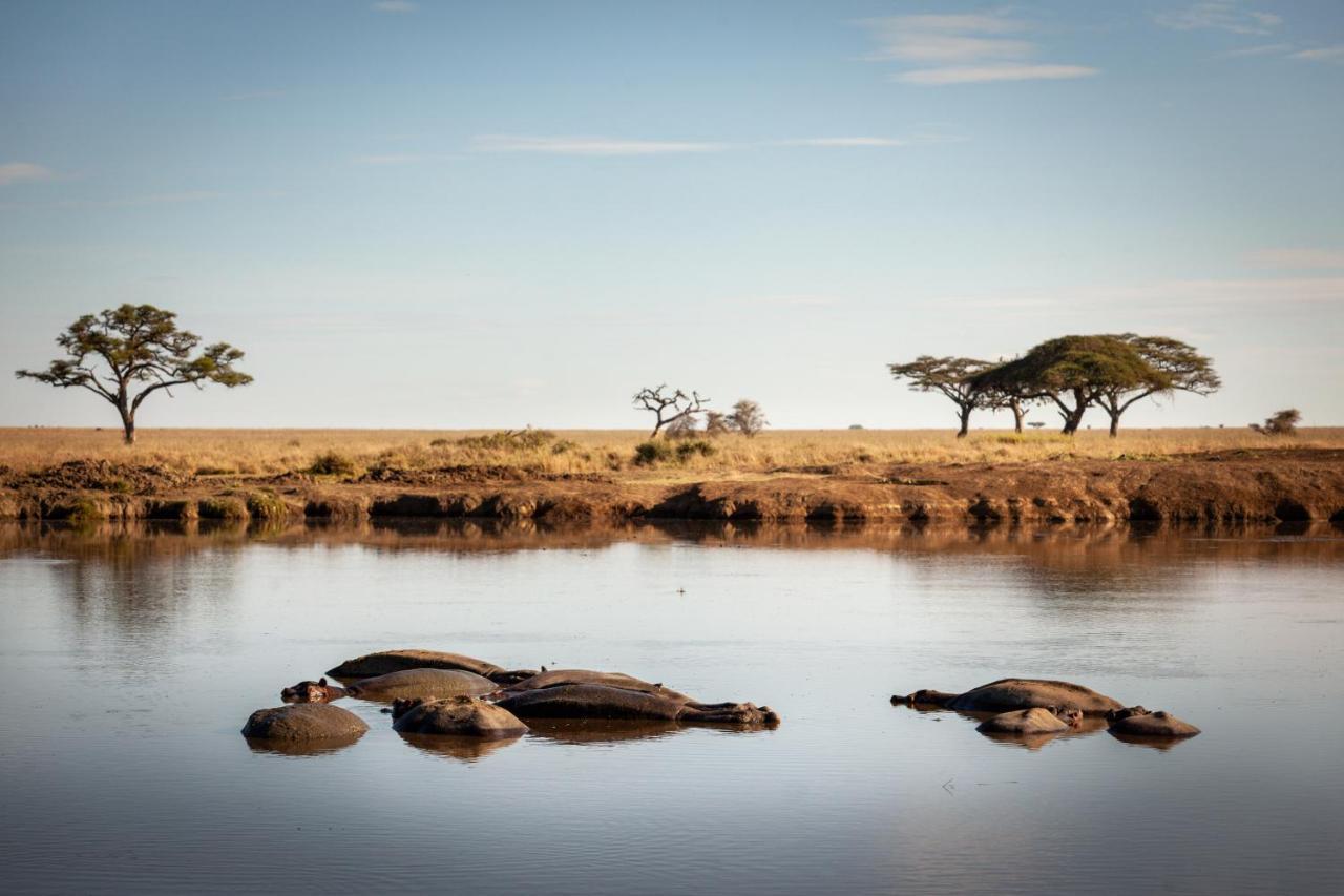 Mawe Tented Camp Serengeti Exterior foto