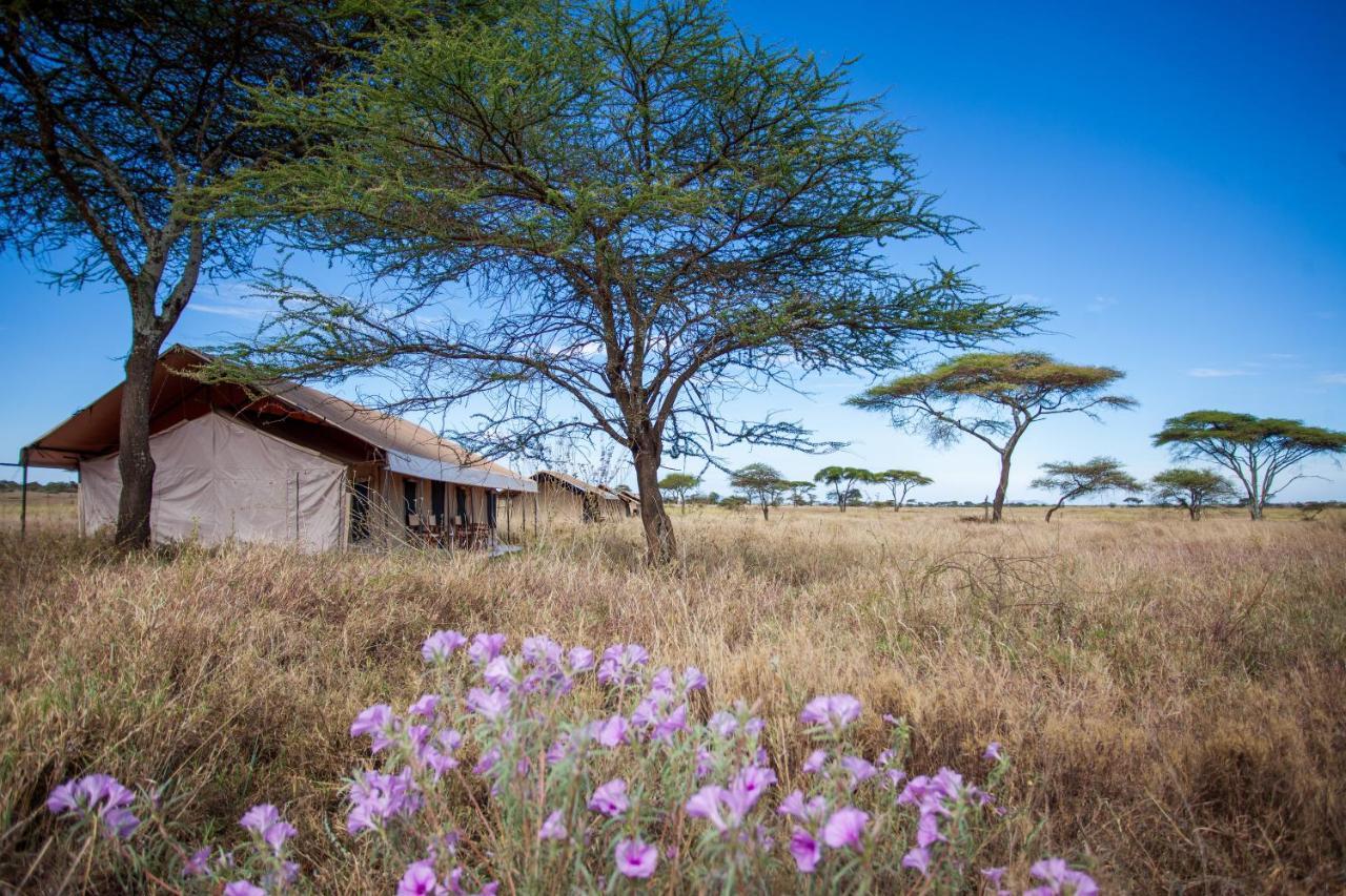 Mawe Tented Camp Serengeti Exterior foto